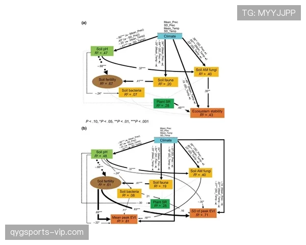 上海申花阵容结构稳定，但是否缺乏变化？