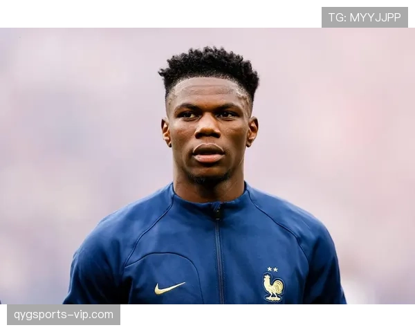 罗德里与楚阿梅尼：单点防守与扫荡型后腰的差距及角色互补分析